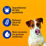 sache-pedigree-racoes-pequenas-adulto-sabor-frango-100g-10019408