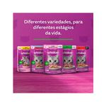 sache-whiskas-85g-adulto-salmao-10019419