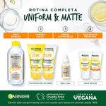 hidratante-facial-garnier-skinactive-uniform-matte-vitamina-c-fps30-15g-10021674