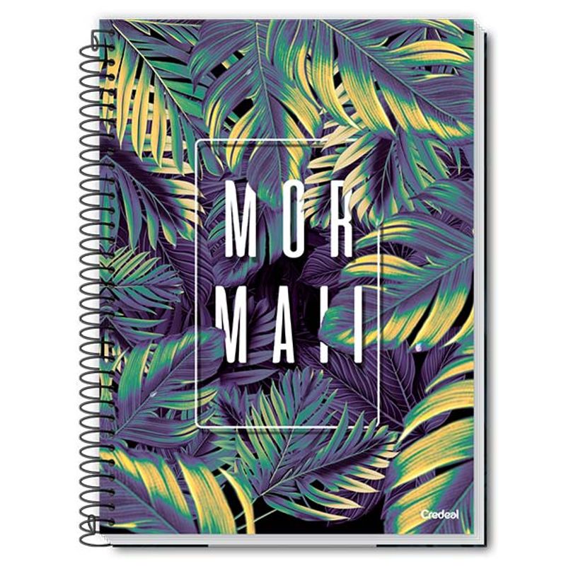 caderno-credeal-mormaii-menino-80-folhas-10036427