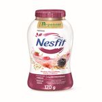 iogurte-nestle-frutas-vermelhas-nesfit-170g-10039236