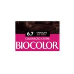 tinta-de-cabelo-biocolor-mini-kit-marrom-natural-irresistivel-67-10000501