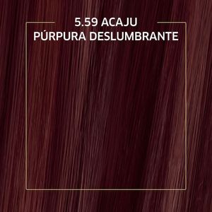 Tinta de Cabelo Biocolor Mini Kit Acaju Púrpura 5.59