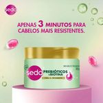 mascara-de-tratamento-seda-forca-e-crescimento-prebiotico-biotina-300g-10035100