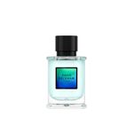 perfume-david-beckham-true-instinct-eau-de-parfum-masculino-50ml-10042792