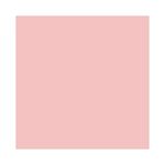 esmalte-dailus-premium-babado-e-gliteria-a-mae-ta-on-10042830