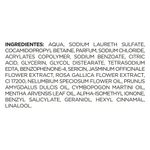 sabonete-liquido-lux-rosa-francesa-botanicals-650ml-10042130