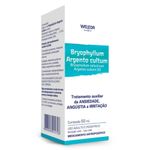 bryophyllum-argentum-cultum-50ml-weleda-10025178