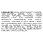 sabonete-liquido-lux-buque-de-jasmim-botanicals-650ml-10042129