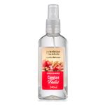aromat-premisse-140ml-spray-canela-e-frutas-10021480