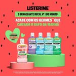 enxaguante-bucal-listerine-melancia-hortela-500ml-10036954