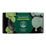 sabonete-palmolive-naturals-argila-e-eucalipto-85g-6-unidades-10044430