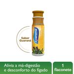 eparema-guarana-flaconete-10-ml-10107479