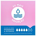 absorvente-noturno-plenitud-femme-para-escapes-de-urina-8-unidades-10048613