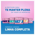 absorvente-noturno-plenitud-femme-para-escapes-de-urina-8-unidades-10048613