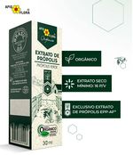 extrato-de-propolis-apis-flora-verde-organico-10037794