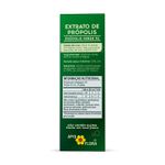 extrato-de-propolis-apis-flora-verde-70-10037793