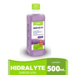 hidralyte-500ml-sabor-uva-natulab-100000920