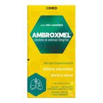 ambroxmel-adulto-xarope-120ml-10008446