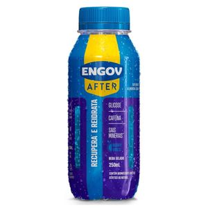 Engov After Berry Vibes Solução Oral 250ml