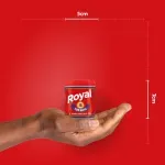 fermento-quimico-em-po-royal-100g-10038513