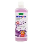 hidralyte-uva-solucao-oral-500ml-100000920