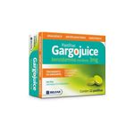 gargojuice-3mg-12-pastilhas-10031413