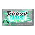 trident-fresh-herbal-5-unidades-10090850