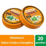 melagriao-vitamina-c-20-pastilhas-gengibre-e-hortela-catarinense-10033284