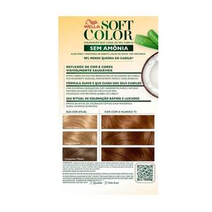 Coloração Creme Soft Color Coco e Mel 73 Avelã