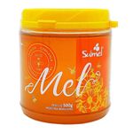 mel-de-abelha-sulmel-500g-10032602