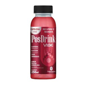 Posdrink Vibe 250ml Frutas Vermelhas