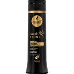 shampoo-haskell-cavalo-forte-300ml-10003024