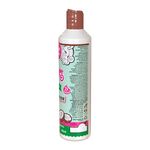 condicionador-salon-line-tratamento-coco-liberado-300ml-100026310