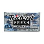 chiclete-trident-fresh-intense-5-unidades-8g-10103521